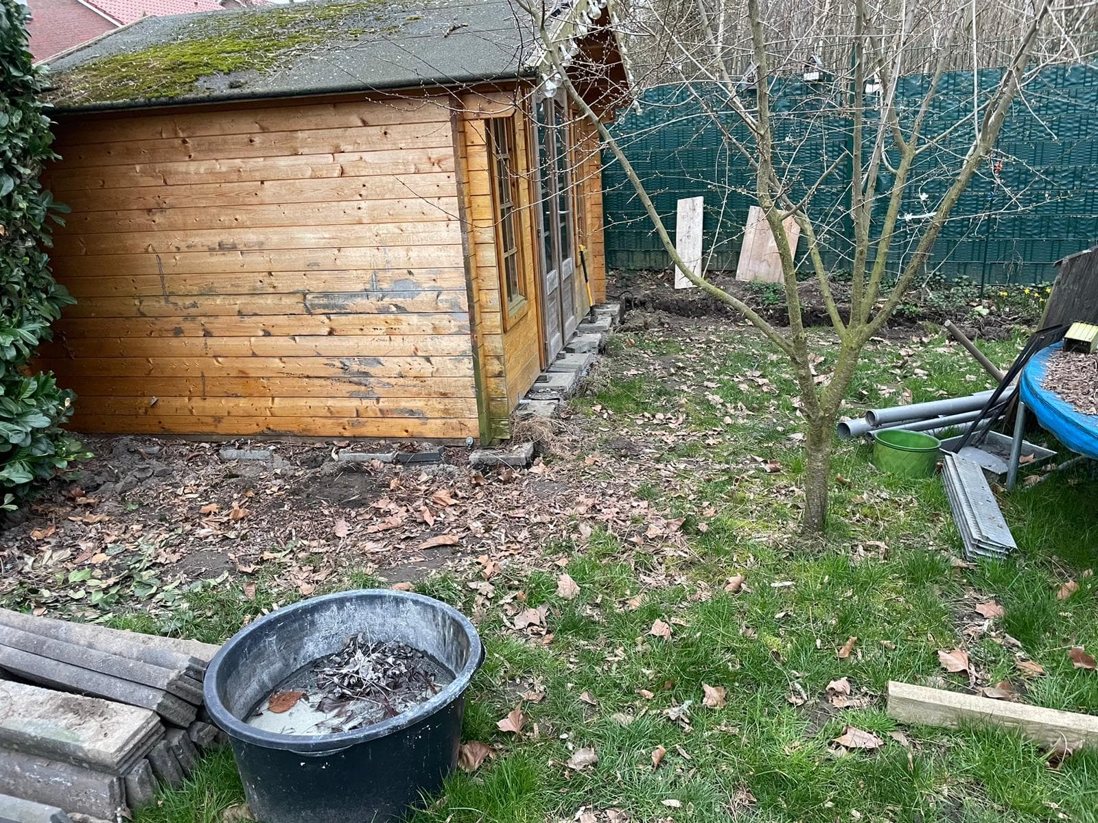 Gartenlandschaftsbau Bochum - Professionelle Bepflanzung und Hecken
